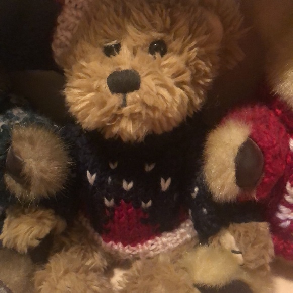 Teddy Bear Collection - Picture 9 of 14